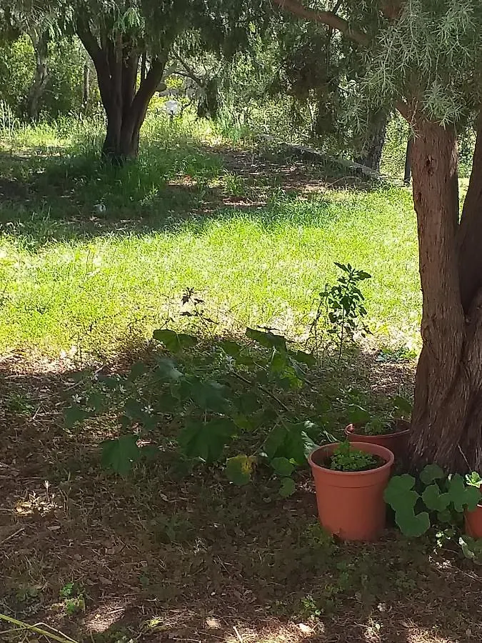 B&B Daillu Olbia 0*,  Italy