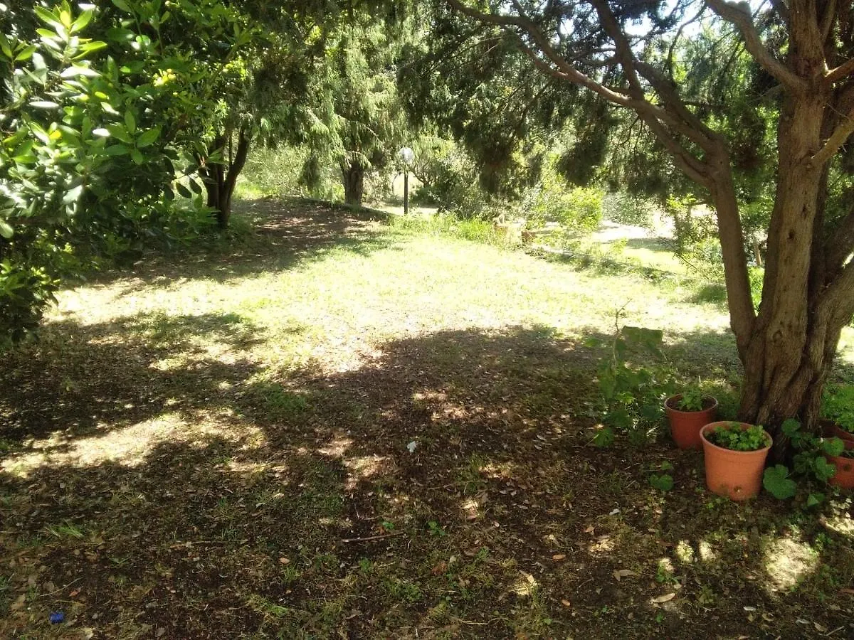 Bed & Breakfast B&B Daillu Olbia