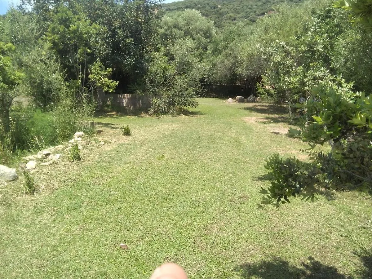 Bed & Breakfast B&B Daillu Olbia