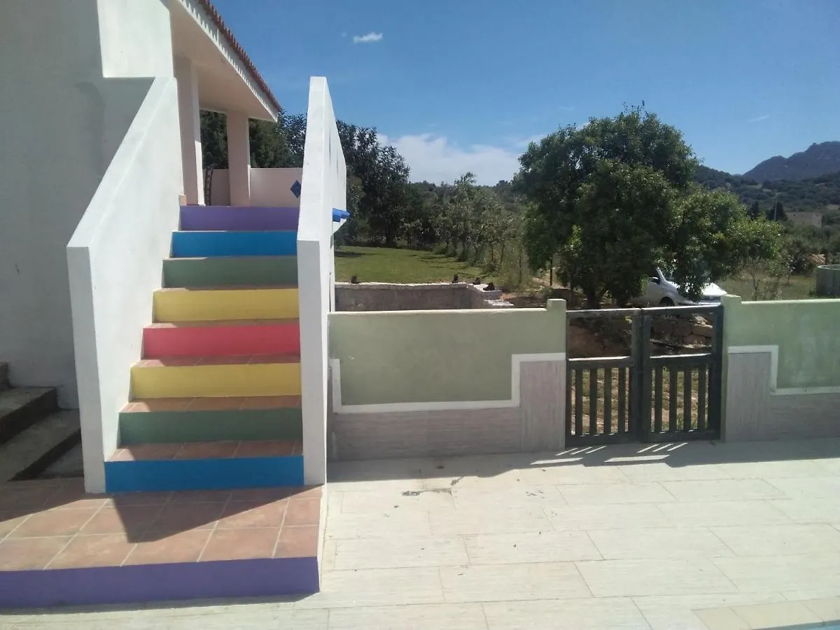 Bed & Breakfast B&B Daillu Olbia